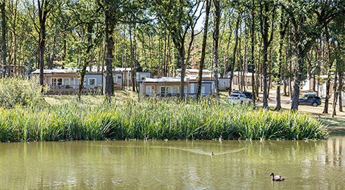 Mobil-homes du Saint Avit Loisirs en bordure de l'étang