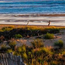 Camping Brem-sur-Mer