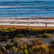 Camping Olonne-sur-Mer