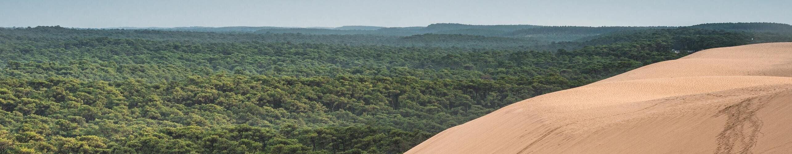 Dune de sable à la Teste de Buch