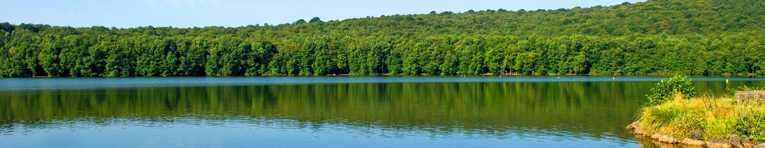 Lac et forêt boisée en Ardennes