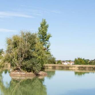 Camping dans le Gers