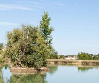 Camping dans le Gers