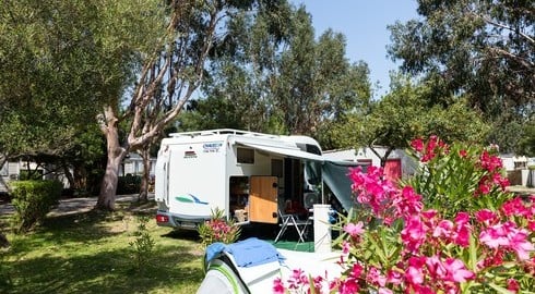 Caravane sur parcelle fleurie