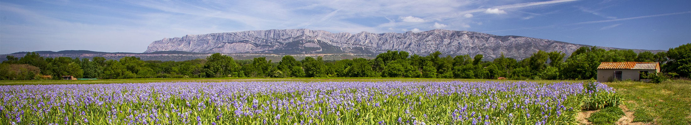 La montagne de la Sainte Victoire à Aix en Provence