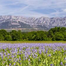 Camping Aix-en-Provence