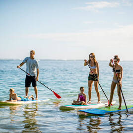 Paddle Board à proximité du Camping Le Domaine de Beaulieu à Givrand Homair