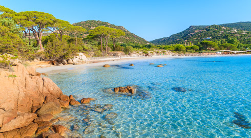 Camping proche de la plage de Palombaggia en Corse