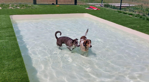 piscine pour chien au camping Castell Mar