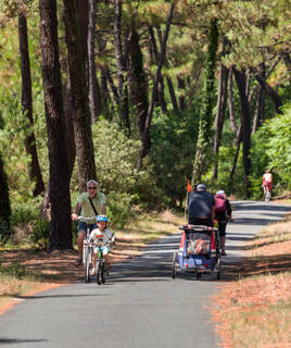 Vélo en famille dans les Landes de Gascognes