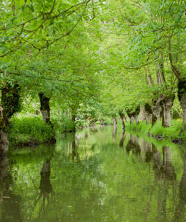 Canal verdoyant du Marais Poitevin