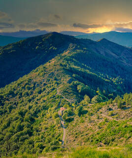 Paysage verdoyant du massif des Cévennes, parc incontournable du Languedoc Roussillon