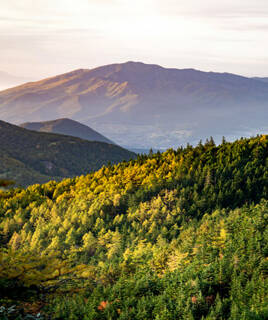 Le parc naturel des Monts d'Ardèche