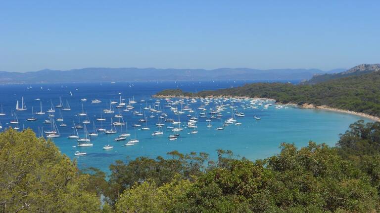 Vue aériennes de la baie de Porquerolles avec son littoral de pins et ses bateaux de plaisanciers