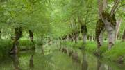 Les canaux du Marais Poitevin, la venise verte