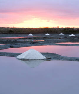 Marais Salants dans les Pays de la Loire