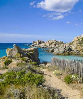 La réserve marine des Iles Lavezzi