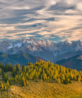 Discover natural treasures Homair