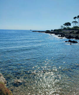 Bord de mer au cap d'Antibes