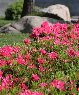 Parc Explora à Antibes