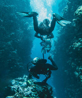Plongée sous-marine activité nautique à Bandol
