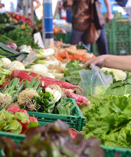 Eintauchen in die Kultur und Genüsse Homair