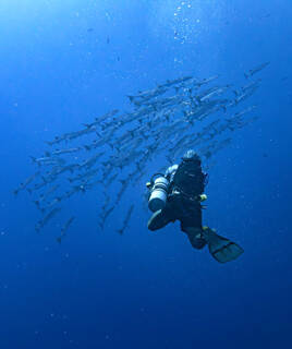 Sessions de plongée sous marie à Blanes