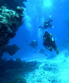 Session de plongée sous marine à Bonifacio en Corse