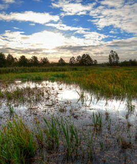 Paysage du Parc naturel des marais du Cotentin et du Bessin
