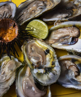 Plateau d'huîtres du Calvados