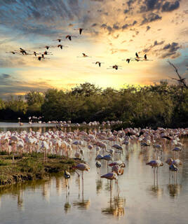 Coucher de soleil aux Salins de Giraud