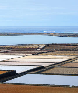 Marais salants Camargue et bord de mer