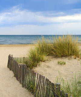 Plage de Beauduc en Camargue