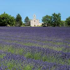 Camping Drôme Provençale