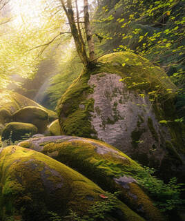 La foret d'huelgoat en Bretagne