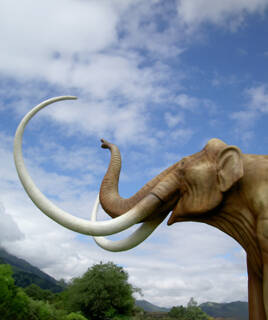 Musée de Quinson près du lac de Sainte Croix