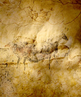 Bewonderen de Grotten van Lascaux Homair