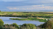 La réserve naturelle de la Baie de Somme
