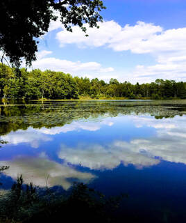 La Sologne dans le Centre Val de Loire