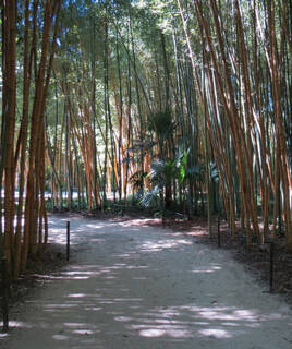 Bambouseraie d'Anduze