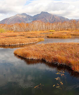 Explorar la naturaleza y la tranquilidad Homair
