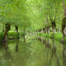 Camping Marais Poitevin