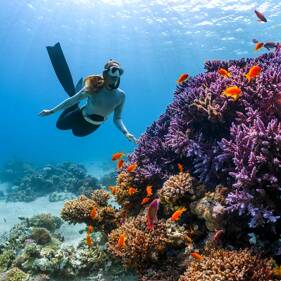 Campeggio Immersioni subacquee