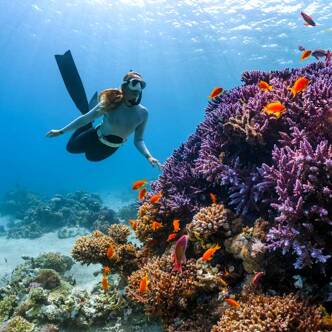 Campsite for scuba diving