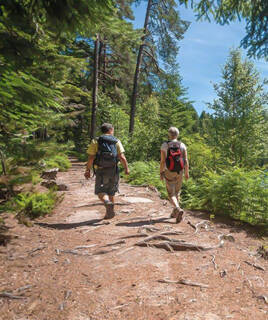 Head out on a wild nature adventure Homair