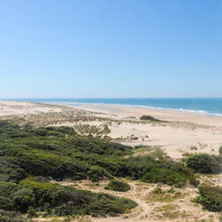Charente-Maritime : Vue aérienne d'une côte sablonneuse avec des dunes parsemées de végétation basse et verdoyante, bordée par un océan bleu avec de légères vagues sous un ciel clair.