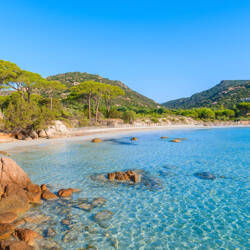 Corsica: Licht zandstrand met okerkleurige rotsen in helder turquoise water, omzoomd door groene pijnbomen en heuvels onder een stralend blauwe lucht.
