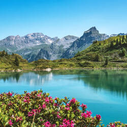 Switzerland