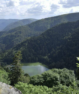 Paysage naturel du Parc National des Vosges