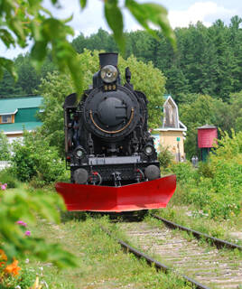 Train à vapeur dans la baie de Somme